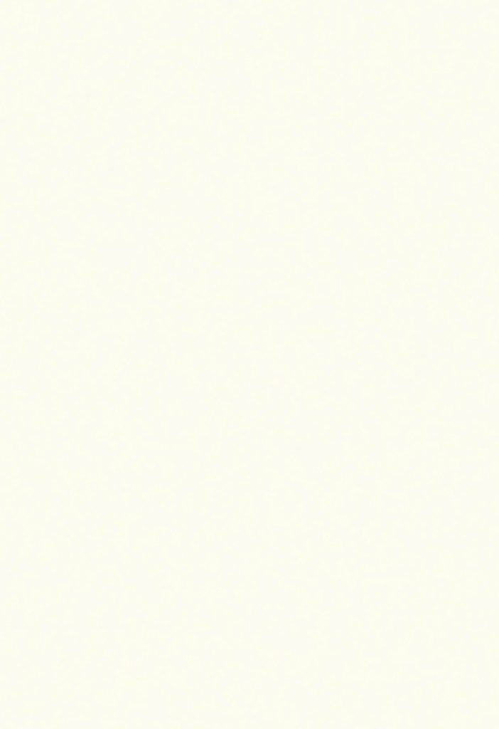 pavimentazione per home lift ELtec lift _ white